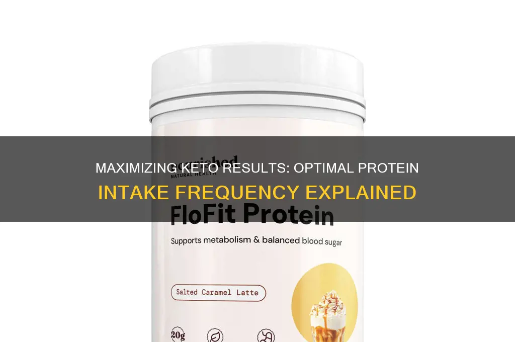 how often eat protein on keto