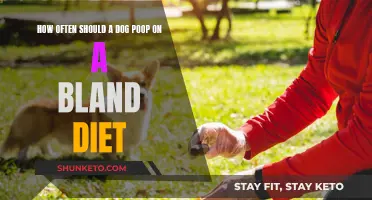 Bland Diet Benefits: Dog Poop Patterns Explained