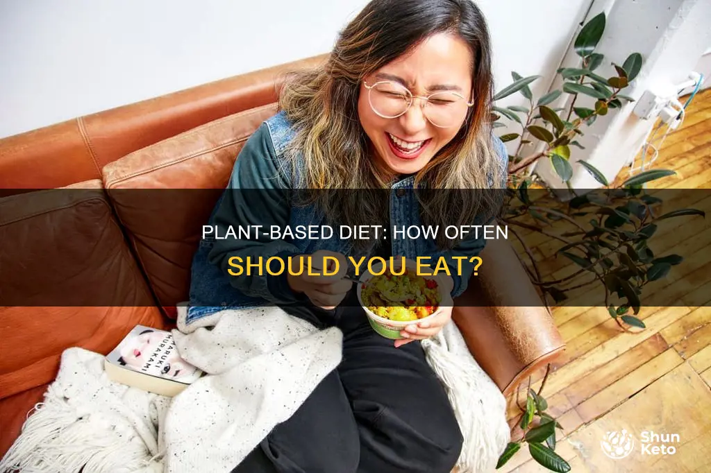 how often should you ea on a plant based diet