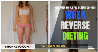 Mastering Reverse Dieting: Calorie Increases for Optimal Results