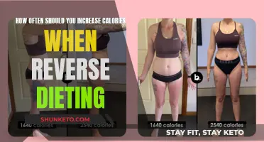Reverse Dieting: Calorie Increase Frequency for Sustained Weight Loss
