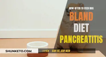 Feeding Dogs with Pancreatitis: How Often Should You Give a Bland Diet?