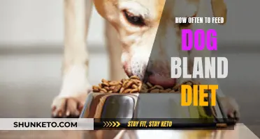 Feeding Dogs a Bland Diet: How Often is Too Often?