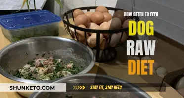 Feeding Raw Diet to Dogs: How Often is Optimal?