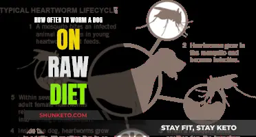 Worming Dogs on Raw Diets: How Often is Necessary?