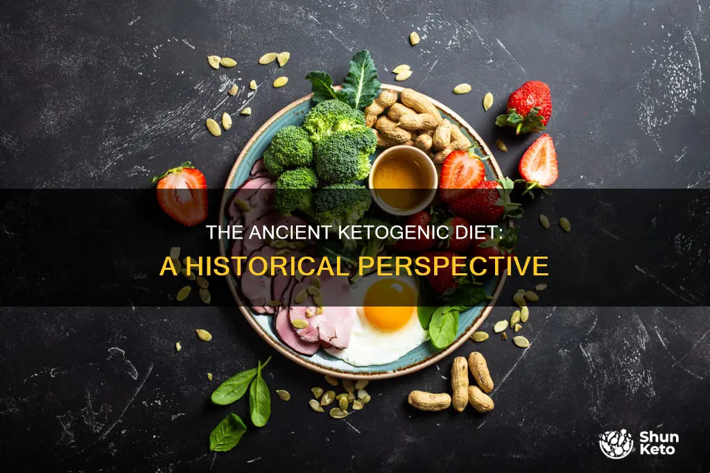 how old is the ketogenic diet