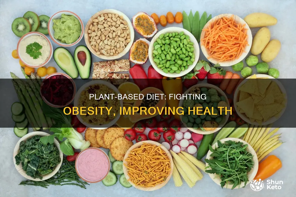 how plant based diet helps obesity