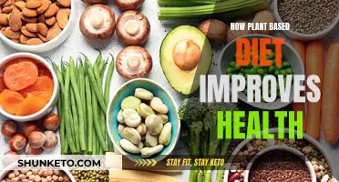 Plant-Based Diets: Health Benefits, Nutritional Value