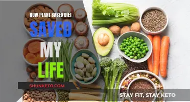 Plant-Based Diet: My Life-Changing Experience and Health Benefits