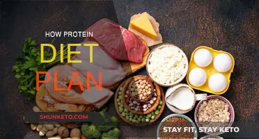 Protein Diet Plan: A Guide to High-Protein Eating