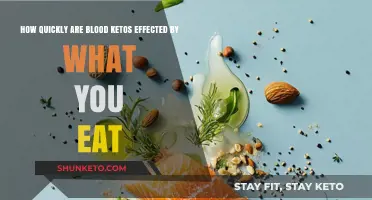 Impact of Food on Blood Ketone Levels: A Rapid Response Guide