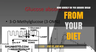 Sugar Absorption: How Fast Does It Hit Your Bloodstream?