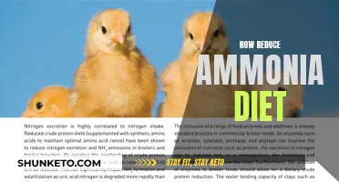 Ammonia-Reducing Diet: Foods to Eat and Avoid