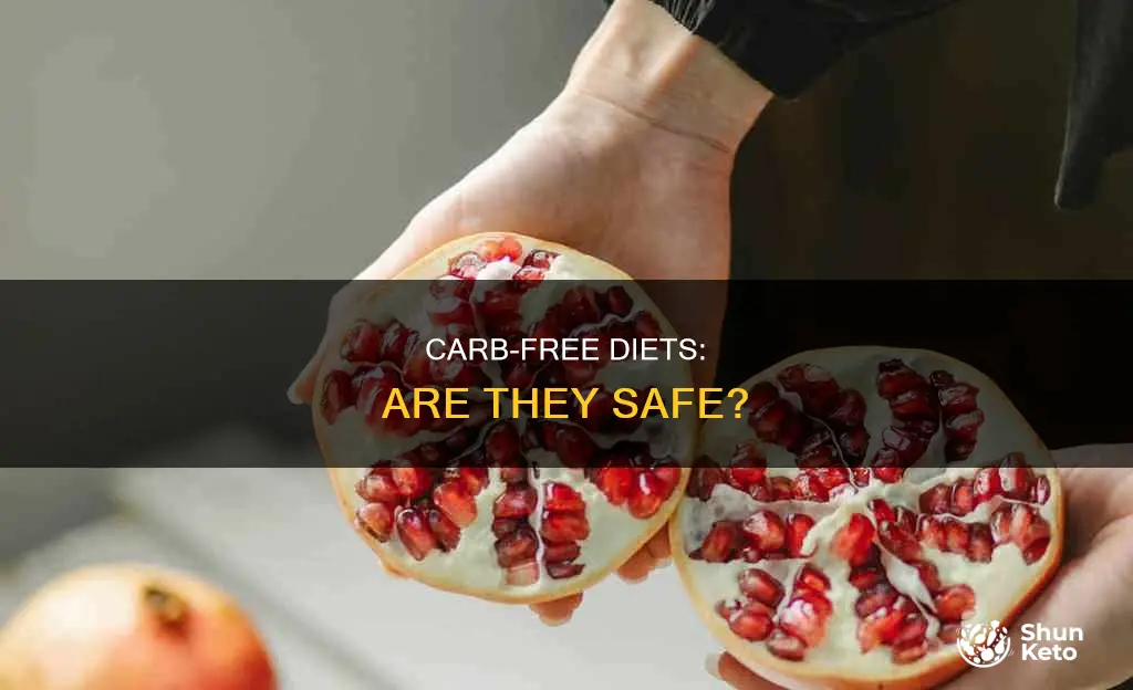 how safe is a no carb diet