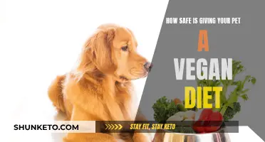 Vegan Pet Diets: Safe or Not?