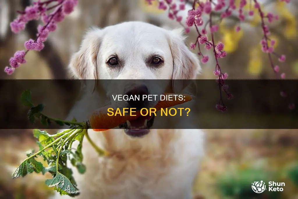 how safe is giving your pet a vegan diet