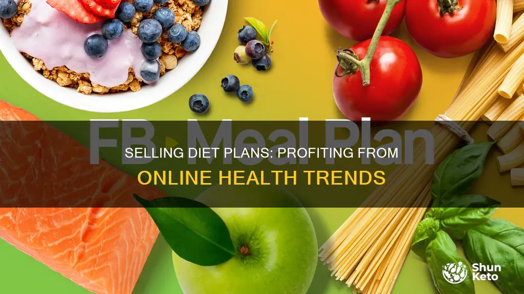 how sell diet plans on the internet