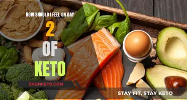 Keto Day 2: Energy, Cravings, and the Keto Flu