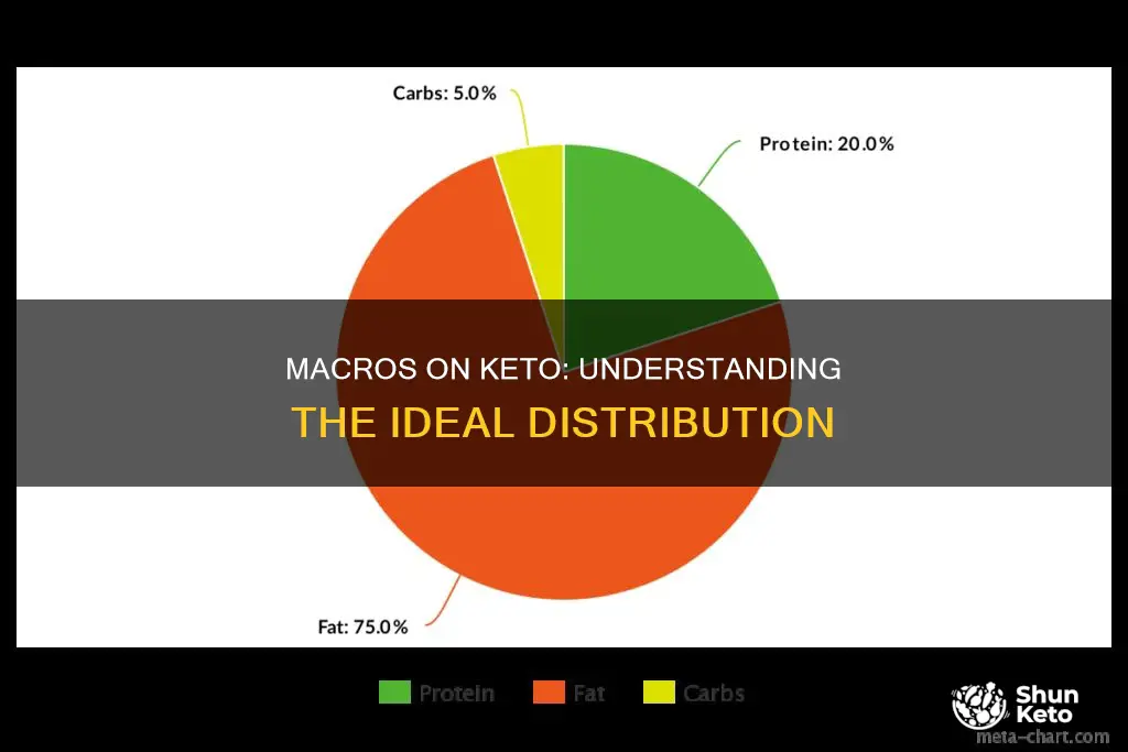 how should macros be divided on keto