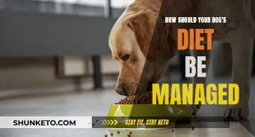 Managing Your Dog's Diet: A Guide to Healthy Eating