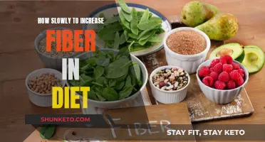 Gradual Guide to Increasing Fiber Intake in Your Diet