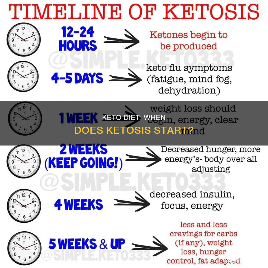 how soon after starting keto are you in ketosis