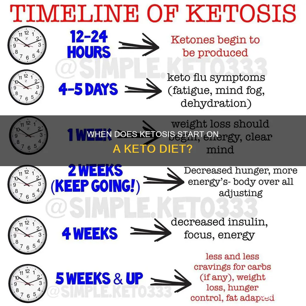 how soon after starting keto will I be in ketosis