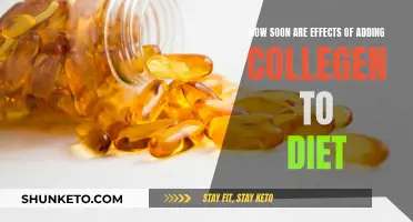 Collagen Diet Effects: How Soon Can You Expect Results?