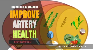 Vegan Diets: Quick Artery Health Benefits