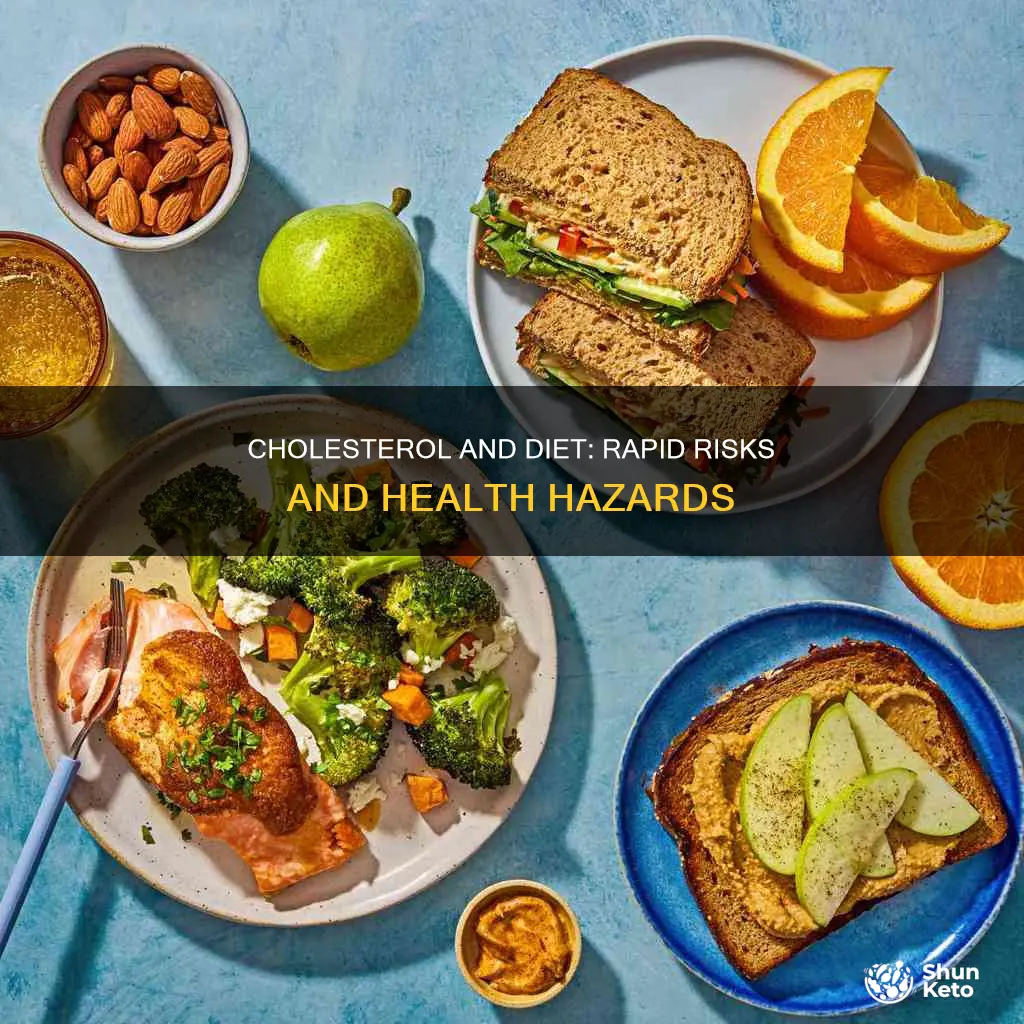 how soon does cholesterol increase with diet