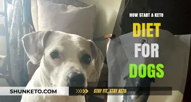 Keto Diet for Dogs: A Beginner's Guide to Starting Safely