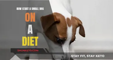 Small Dog Diet: Steps to Take for Weight Loss