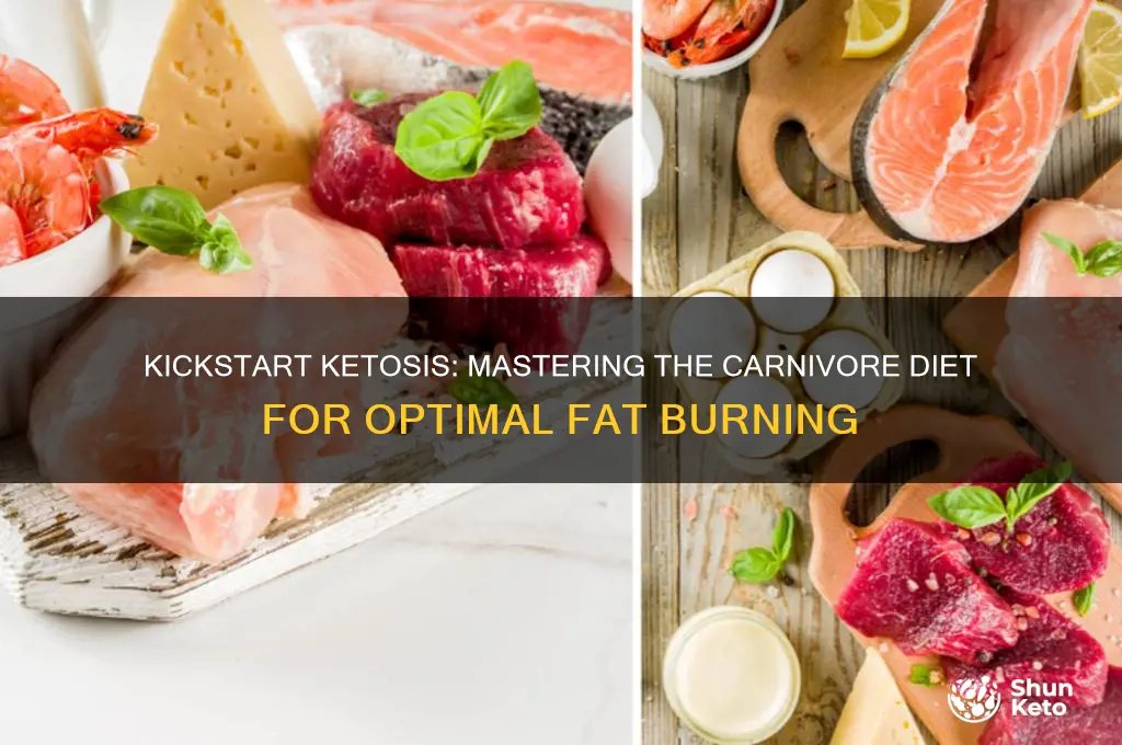 how start carnivore diet cetosis keto
