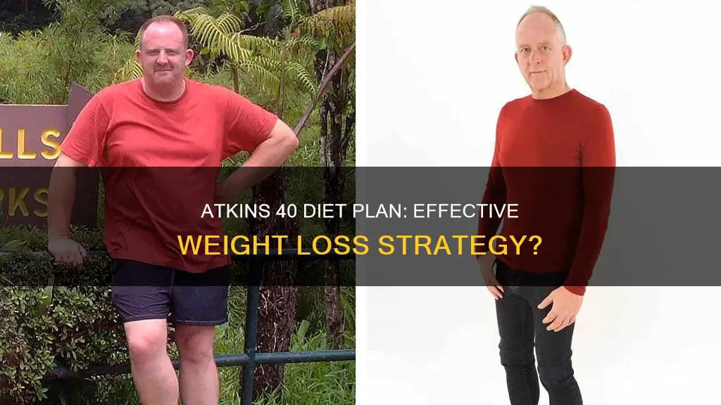 how successful is the atkins 40 diet plan