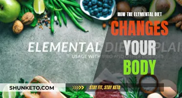Elemental Diet: Transforming Your Body from the Inside Out