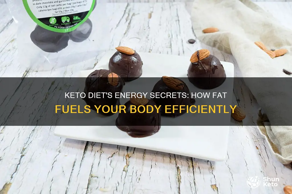 how the keto diet uses energy