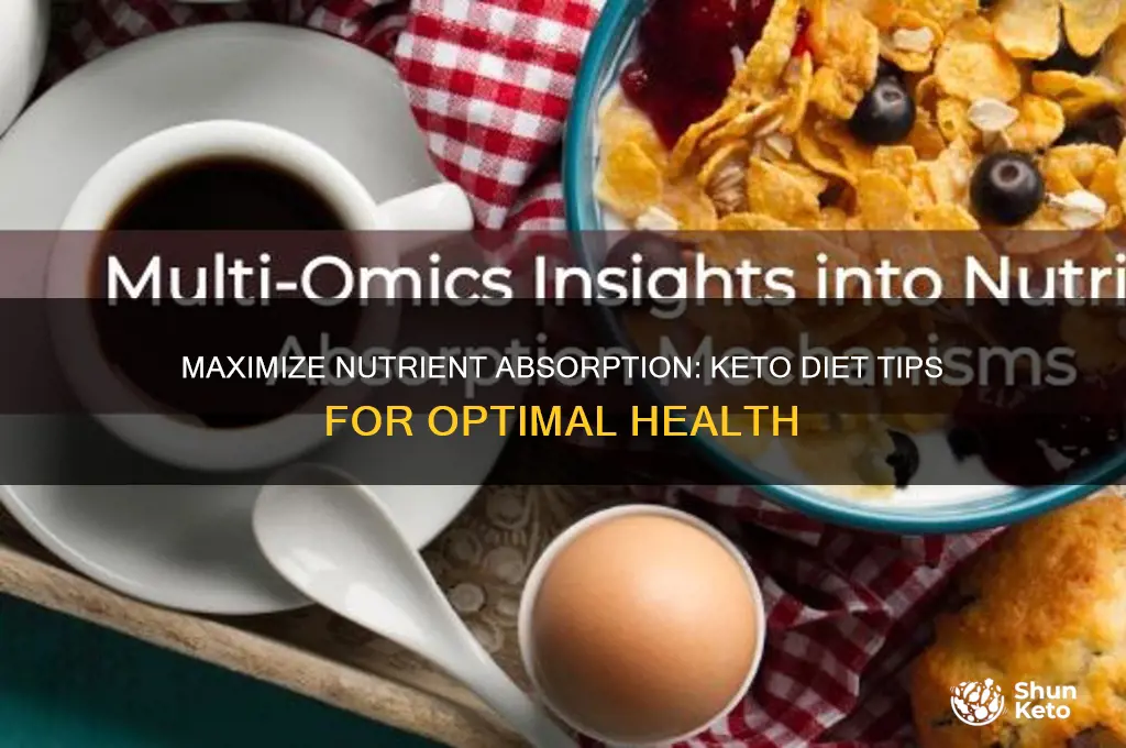 how to absorb nutrients on keto diet