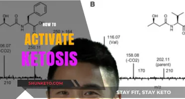 Unlock Ketosis: Proven Steps to Activate Fat-Burning Mode Fast