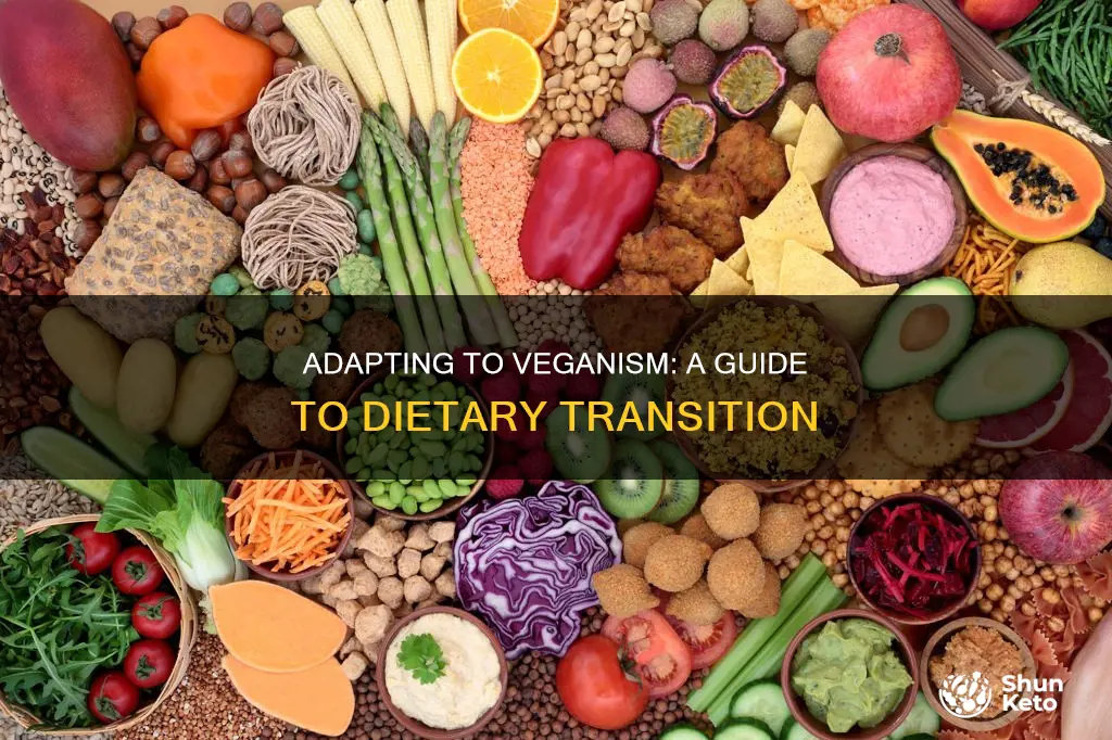 how to adapt to a vegan diet