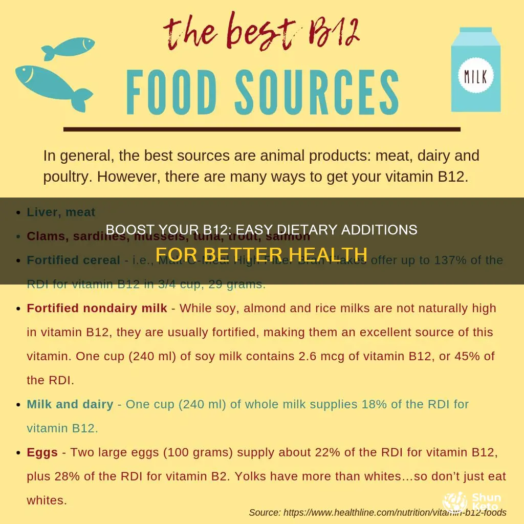 how to add b12 to diet