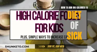 Big Calorie Boost: Strategies for Sick Diet Enhancement