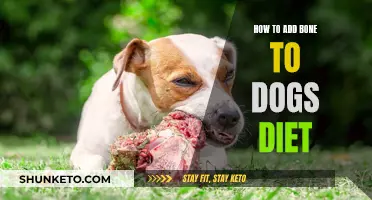 Bone Appetite: Adding Bones to Your Dog's Diet