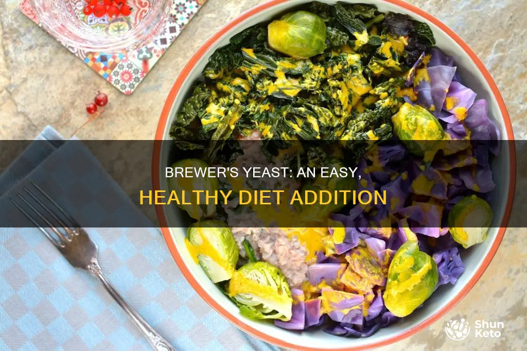 how to add brewers yeast to diet