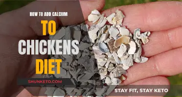 Boosting Calcium in Your Chicken's Diet