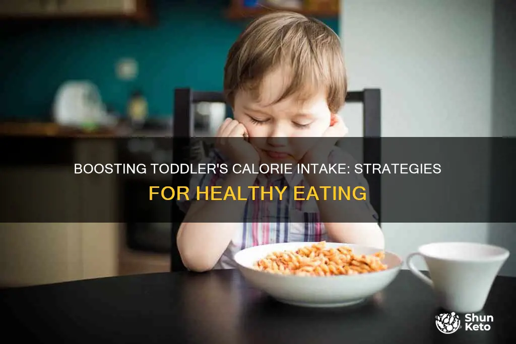 how to add calories to toddler diet