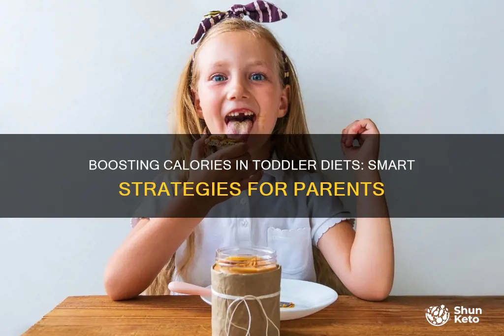how to add calories to toddler diet