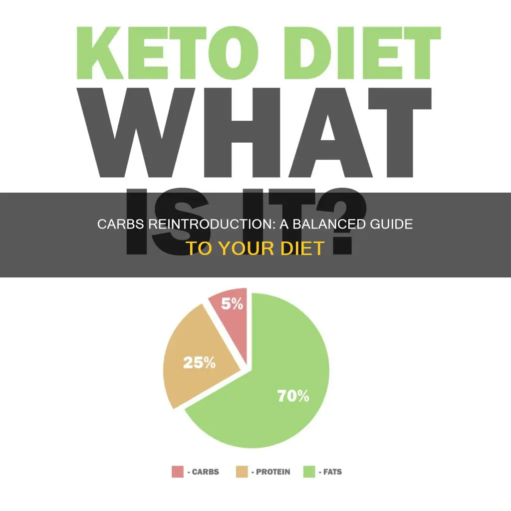 how to add carbs back into your diet
