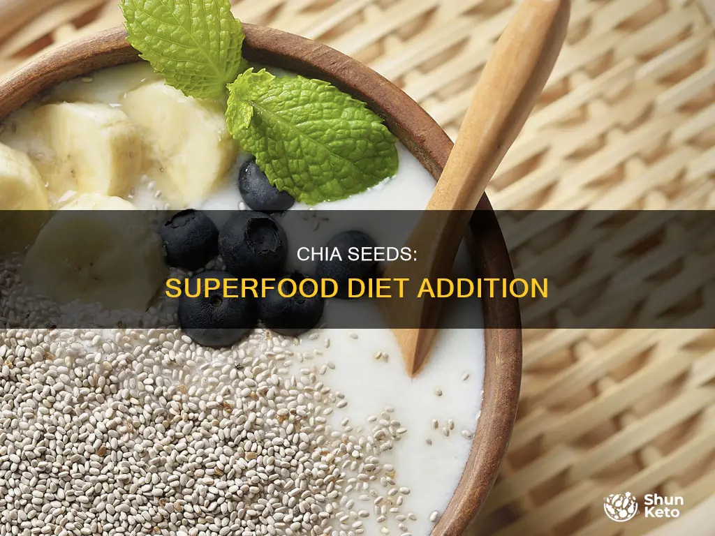 how to add chia seeds to your diet