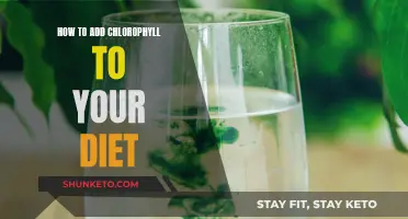 Eat Your Greens: Chlorophyll-Rich Foods for Health