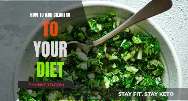 Incorporating Cilantro into Your Daily Diet